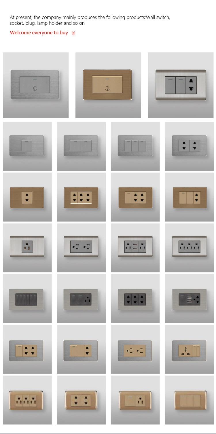 Us Standard 1gang Switch+Thailand Socket for Home